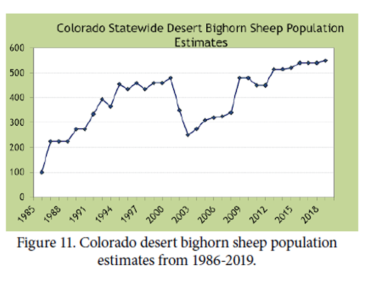 sheep populations