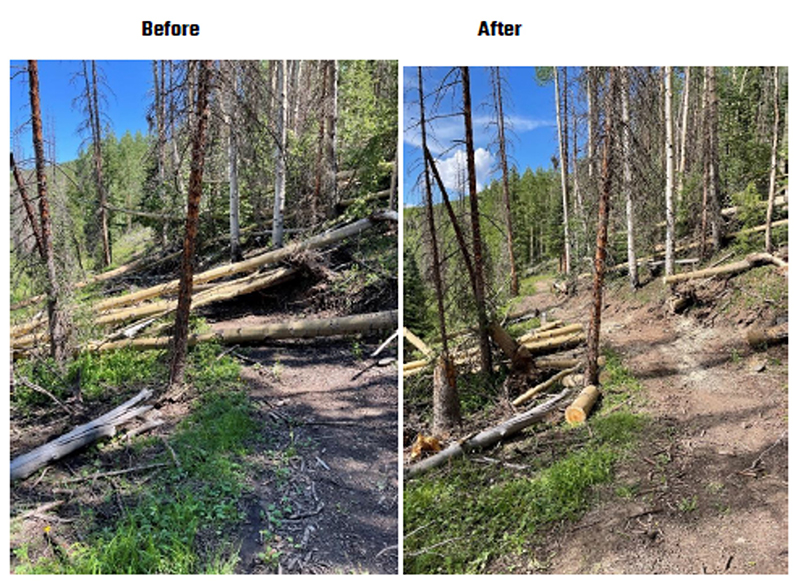 before and after photos of trail with felled trees, then cleaned of all 