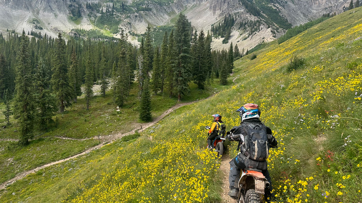 Riders on Singletrack admiring view